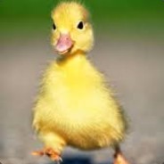 mr_gurk - steam id 76561197969033945