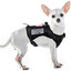 Chihuahua K9 Officer