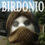 Birdonio