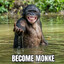 | LDS | Monke