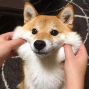 城北发廊艺术总监Jack