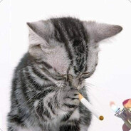 fullpoxyi - steam id 76561199302577062