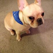 这波五杀很简单！！！