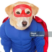 пес фурункулес