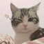 Elion Musjk