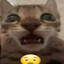 SoyMel_