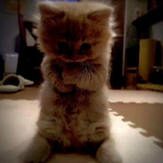 Спидран детдома