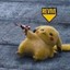 Chewie_1213