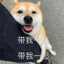 我要成为村里最靓的仔