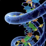 Stolen avatar