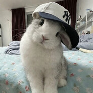 Supercat