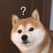 伯乐看了高低给我磕个