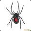 OD | Black Widow