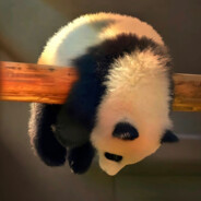 我没演你我是真菜