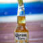 Corona eXXXtra