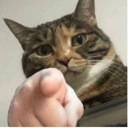 Big Avatar