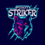 STRIKER