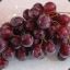 CnB|grapes (Nil)