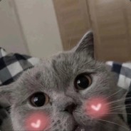 洞里有熊，快跑！