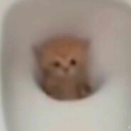 КМС ПО ЗАЛУПЕ