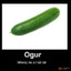 _ogur_ CSGOSKINS