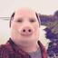 John Pork