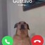 fristaljo