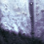 akcis333