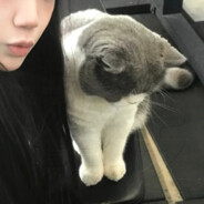 还是觉得禄好听