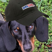 boti's avatar