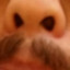 Nes