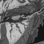 CrOnos