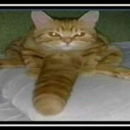 стальные яйца