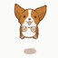 LOVELY-CORGI  🐾