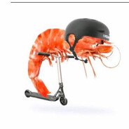 antylopatobot