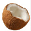 Coconut Nut