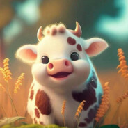 ≿༺❀קค๒l๏❀༻≾