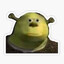 handicap Shrek