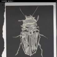 Секрет Императора