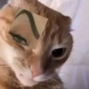 麦当劳汉堡好好好