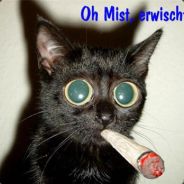 MasterD1012 - steam id 76561197964435023