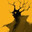 рокемон раки