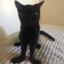 TITSLOVER_69