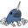 Narwals