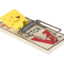 mousetrap