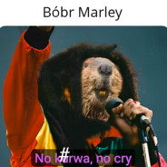 Bóbr marley