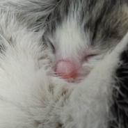 ☆ FUNPLAYER ☆ | Moneyek gameloot