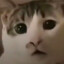 乌伊托西
