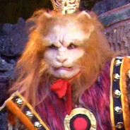 安分守己黄狮精