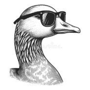 funky goose's avatar